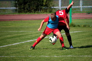 开云app-NBA联盟赛事运营模式创新分析，nba联赛介绍