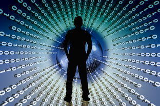 开云体育网址-NBA联盟赛季数据智能分析平台开发，nba联盟数据排名