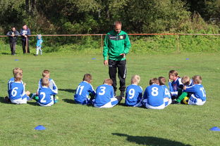 开云体育入口-世界杯影响下：五大联赛的战术调整，世界杯战术分析