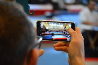 开云体育下载-中国篮球联赛市场细分与精准营销研究，全国篮球联赛优势  第1张