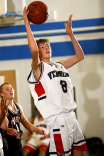 开云体育网站-中国篮球青少年篮球推广模式优化研究，我国青少年篮球训练现状  第2张