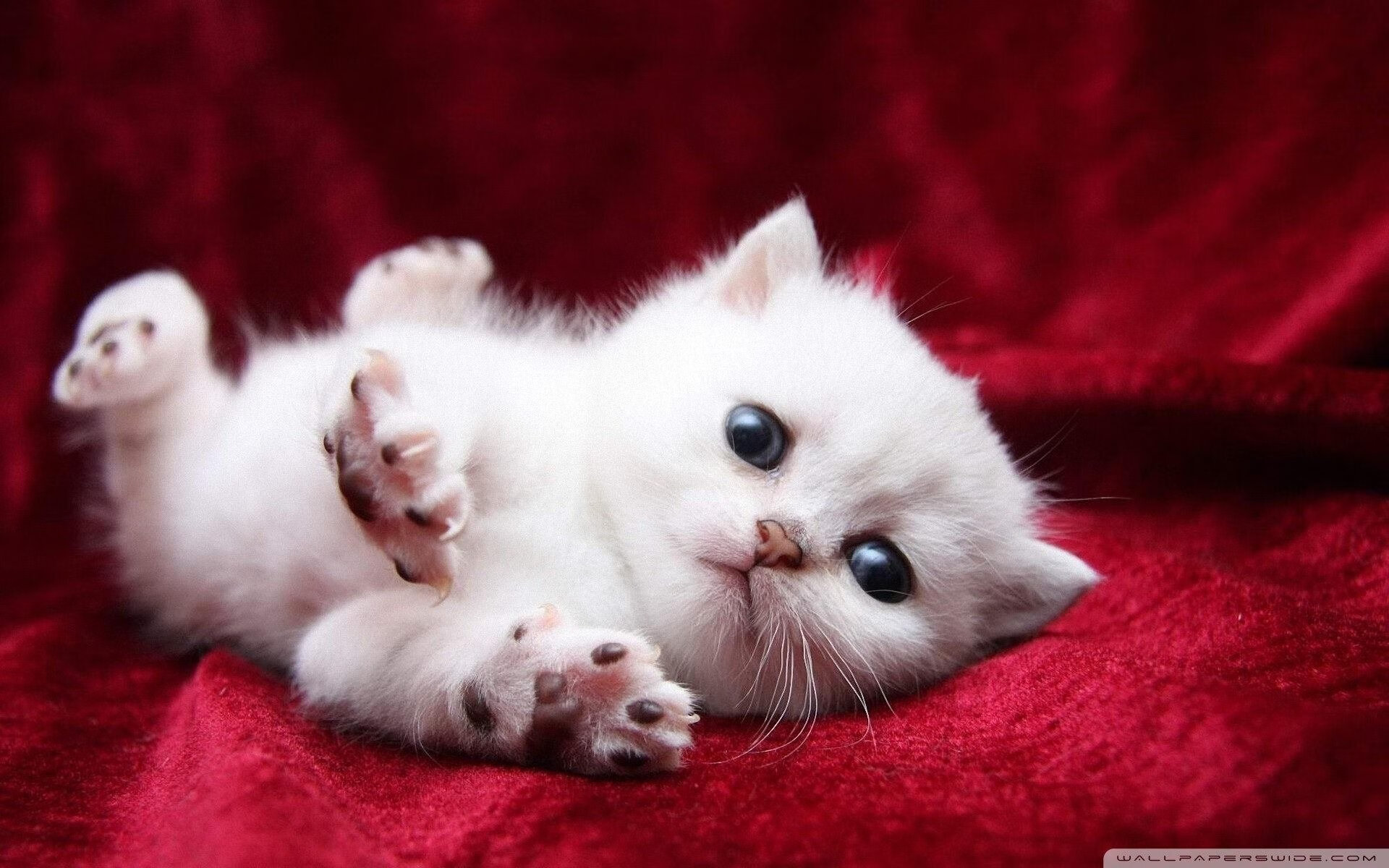 开云体育入口-意甲裁判语义学习模型优化争议判罚语境理解的一致性研究，意甲25轮裁判