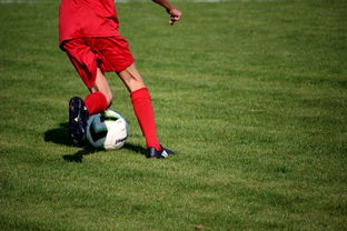 开云体育-篮球运动员心理健康维护体系建设与优化，篮球运动员心理健康维护体系建设与优化方案