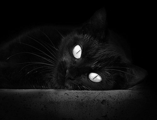 开云体育下载-逆境突围：球队如何在压力下稳住阵脚？，逆境中突围