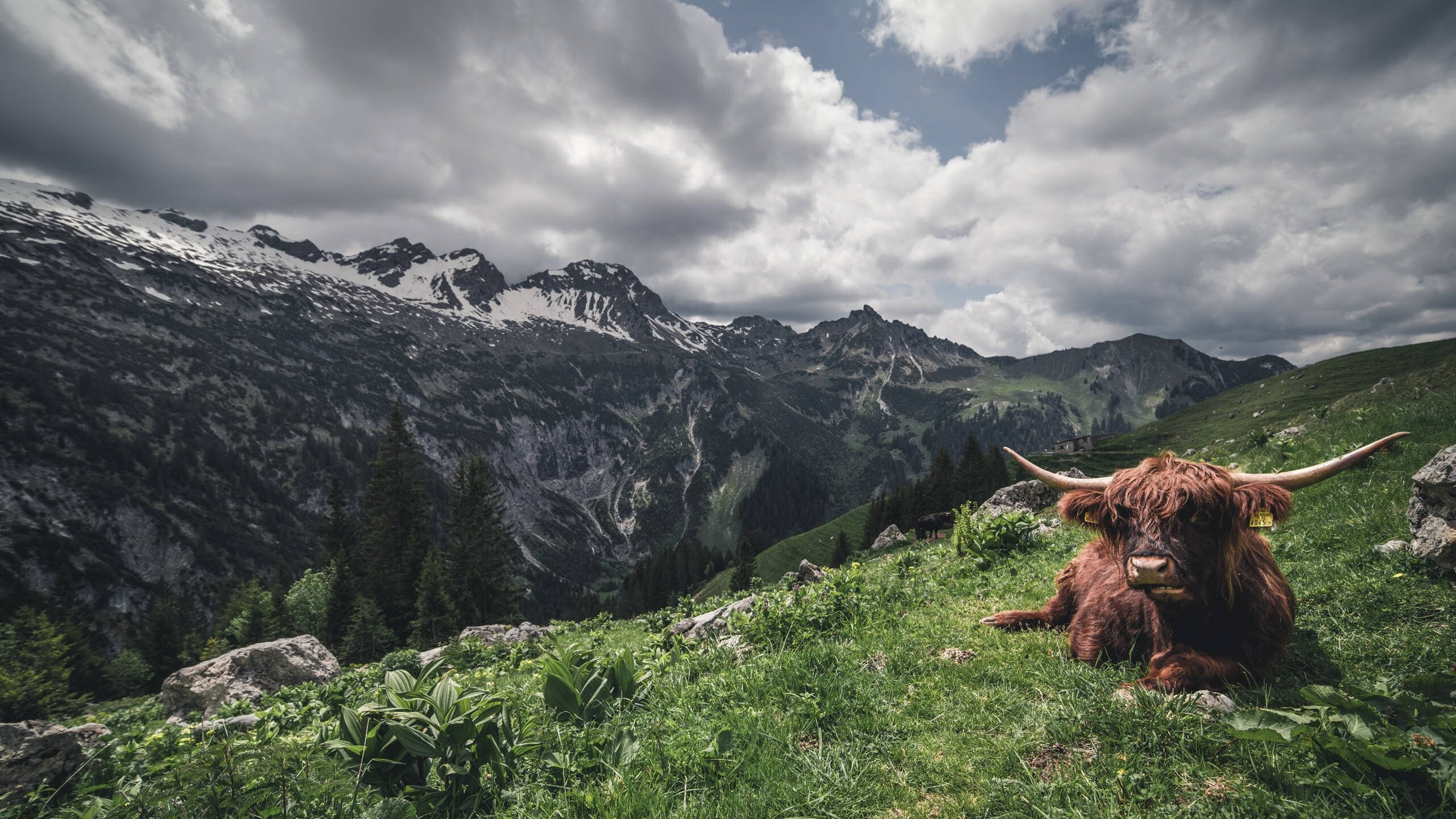 开云体育app-PSG防线漏洞被切尔西前锋多次利用，切尔西后防线