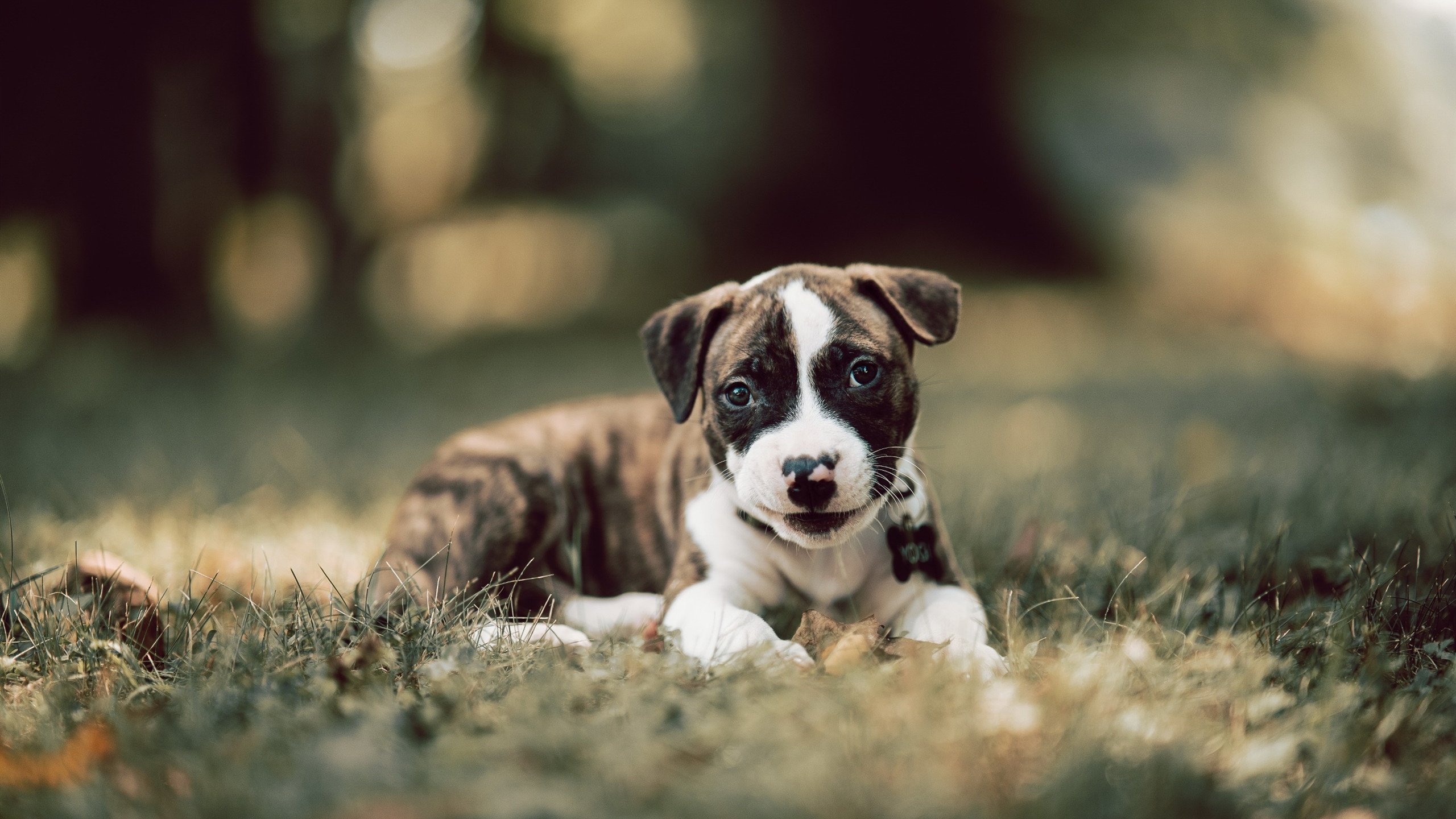 kaiyun开云体育-“高新区全民健身馆：壁球的秘密，击球背后是百秒的决战！”