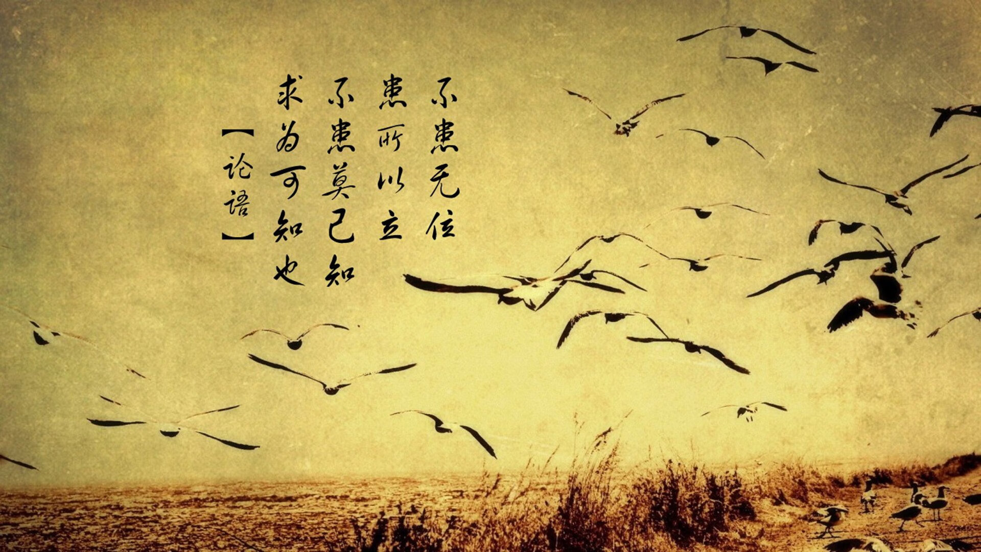 开云体育登录入口-五大联赛是否更多使用边锋反跑牵制战术布局，五大联赛是否更多使用边锋反跑牵制战术布局的球队