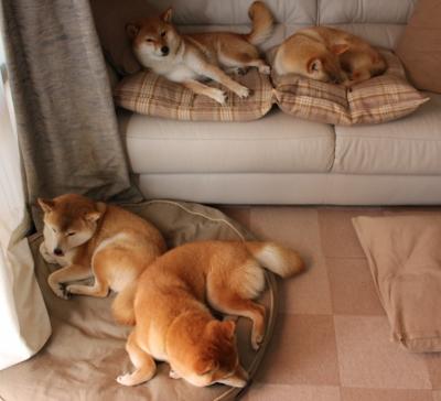 开云体育在线官网-亚洲杯U23国足惨败 技术分析引深思，亚洲u23男足锦标赛