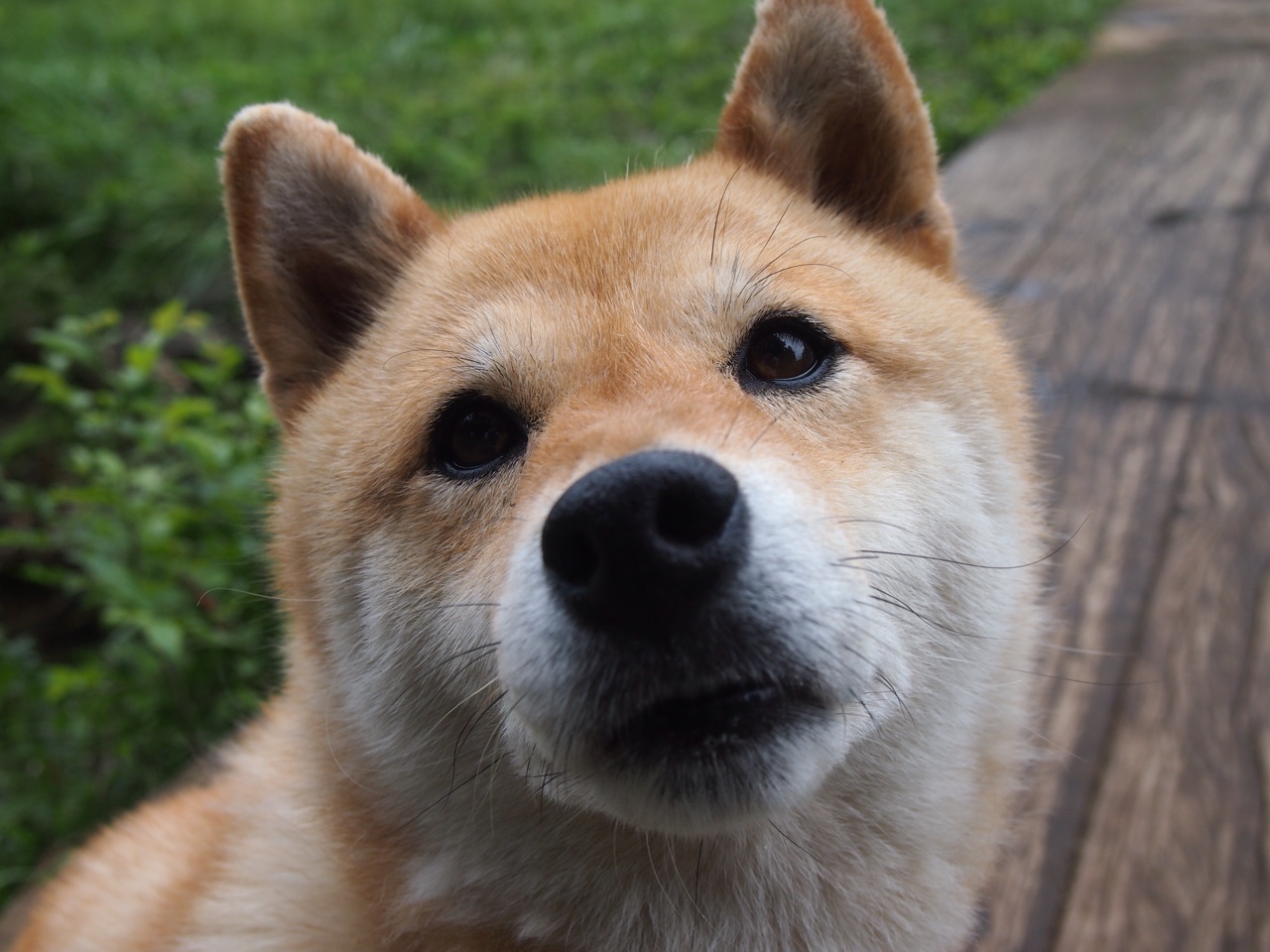 开云体育官网登入-国际米兰攻防节奏衔接更趋成熟，国际米兰常用阵型