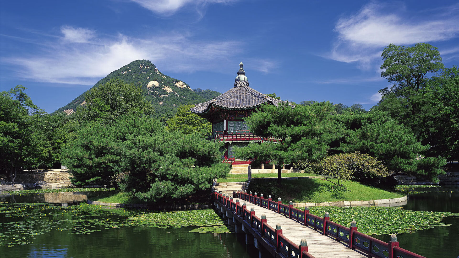 开云体育平台-新加坡队的未来发展蓝图：培养新一代乒乓明星，新加坡的乒乓球运动员都是中国人吗