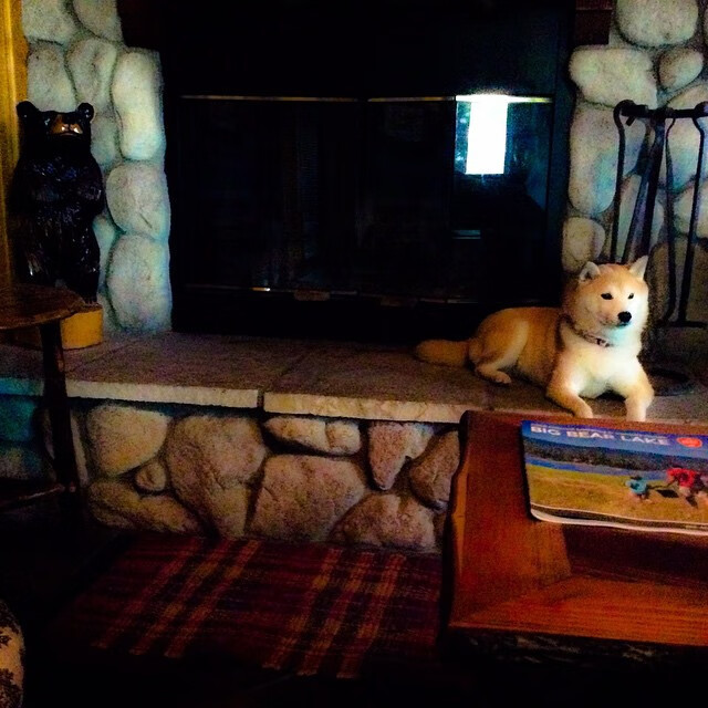 开运体育电脑版-世界杯夺冠热门再评估，世界杯夺冠榜