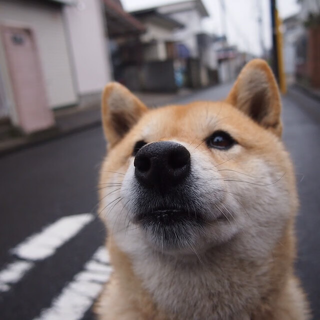 开云体育网址-女子篮球引入情绪调控训练提升比赛情绪稳定性，女子篮球队训练方法