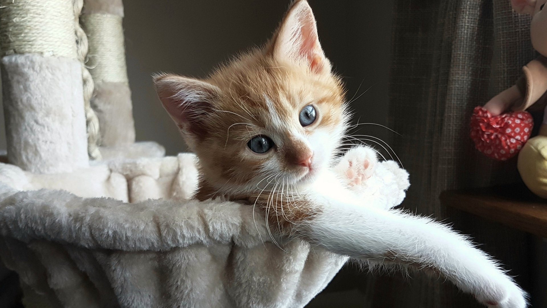 开云体育官网下载-查默斯冲线瞬间震撼全场，查尔默斯