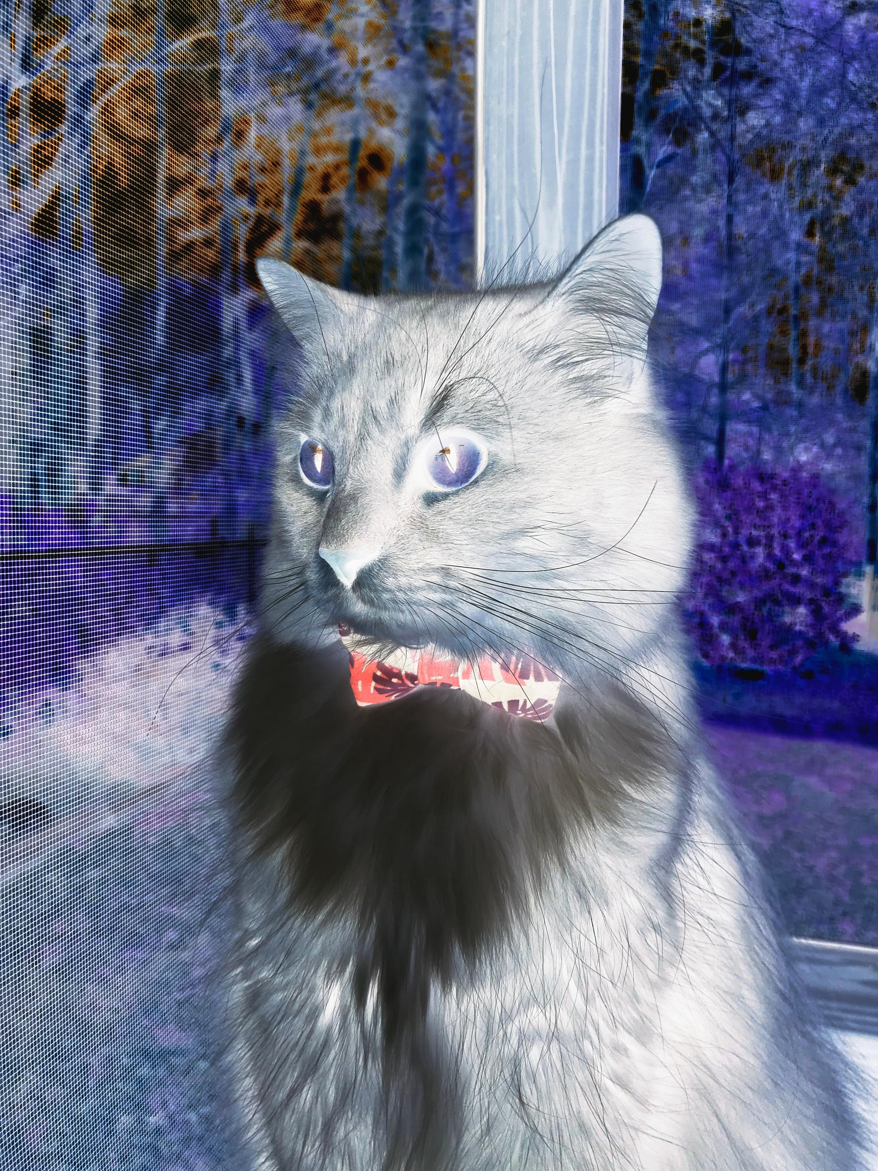 开云体育足球-热火夏训网友称能吃好也能打好，热火夏季联赛赛程