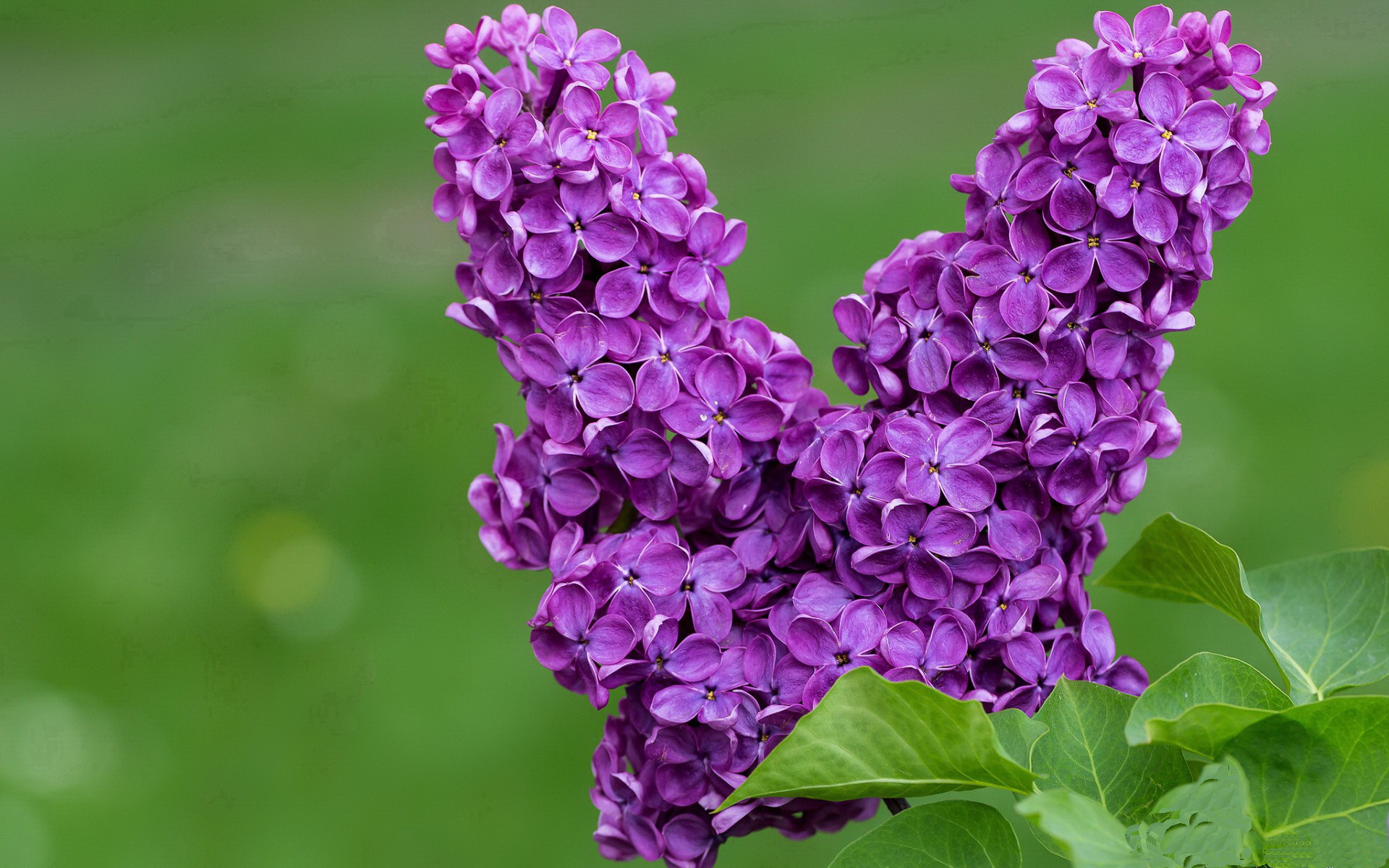 开云体育在线-男篮青年联赛吸引多家俱乐部球探现场考察，青年男子篮球锦标赛