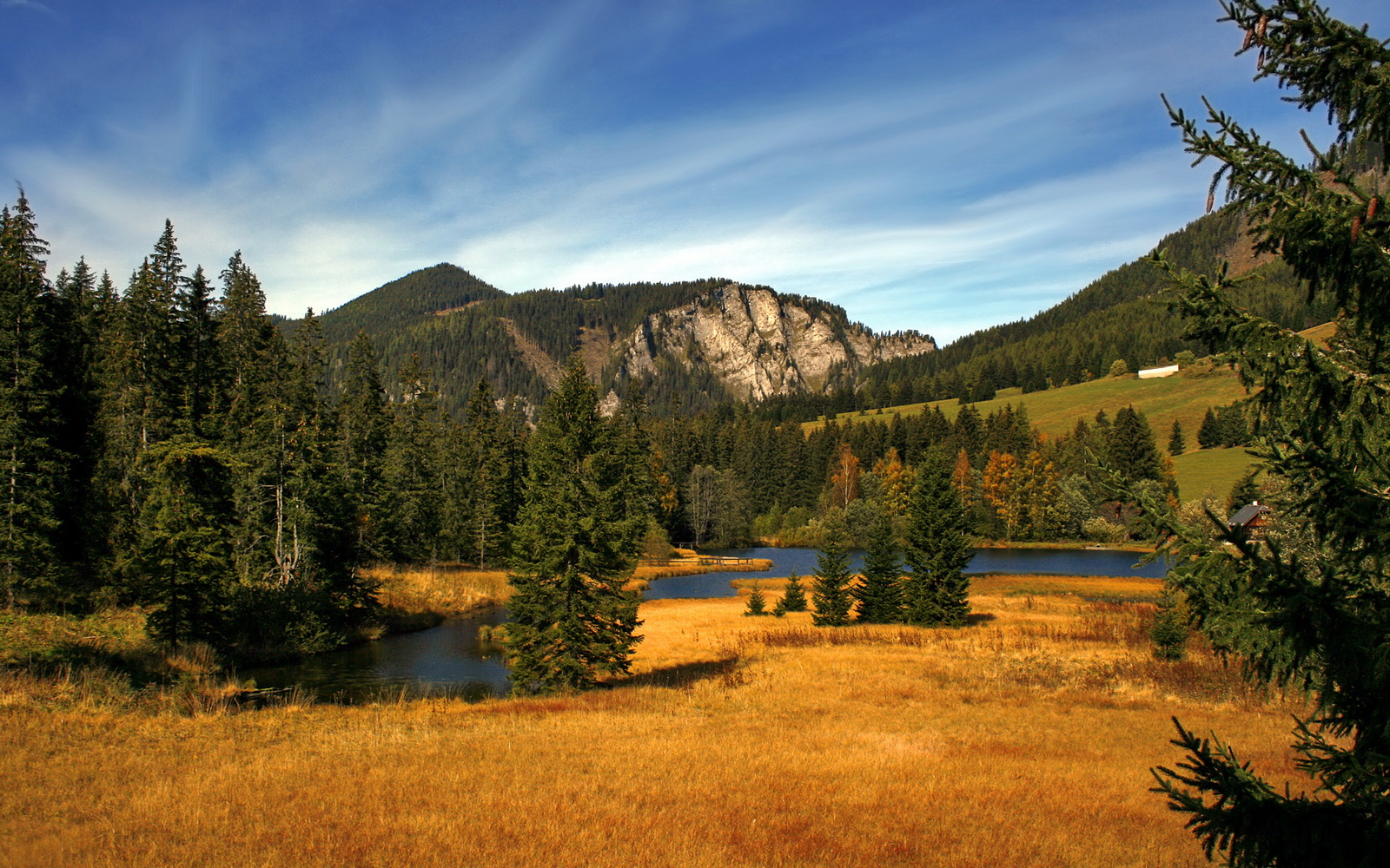 开云体育在线官网-米兰双雄状态火热，争夺意甲冠军