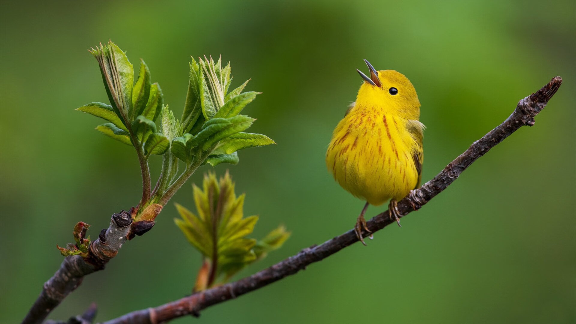 开云体育娱乐-马里特·斯滕伯根突破自我刷新纪录，马滕·斯特克伦博赫