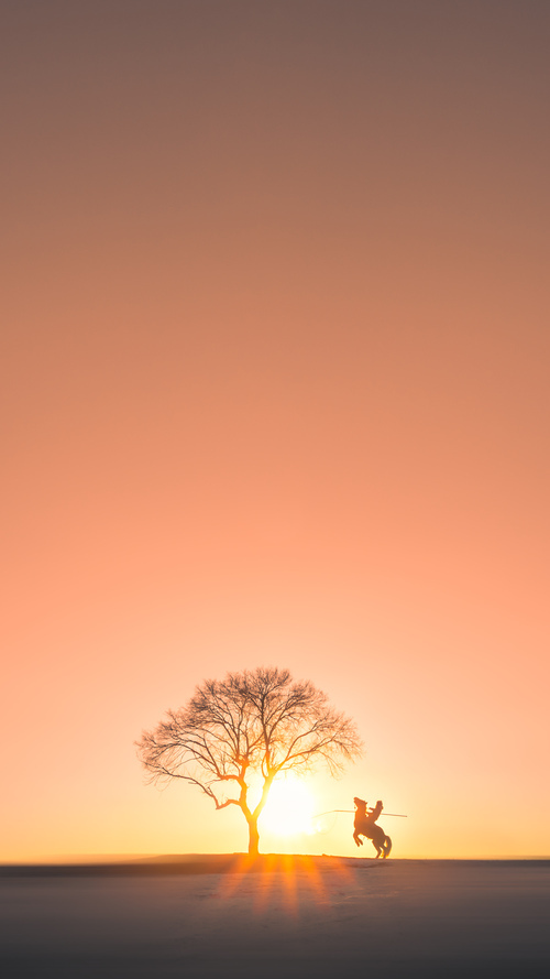 开云体育在线-一文速读：中国WTO特殊待遇立场文件，wto特别贸易关注